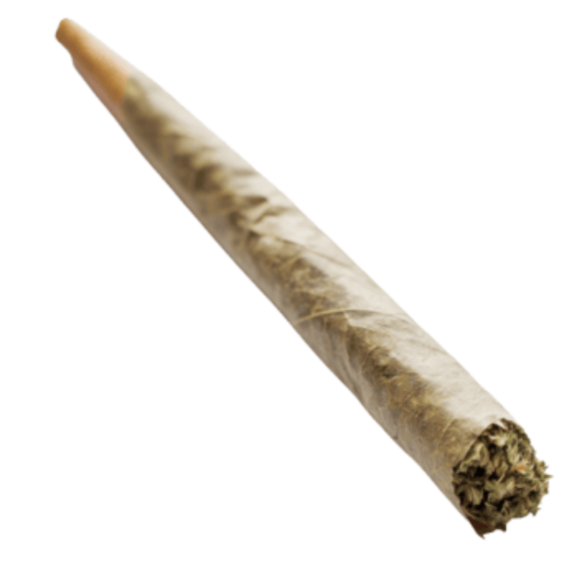 Joint